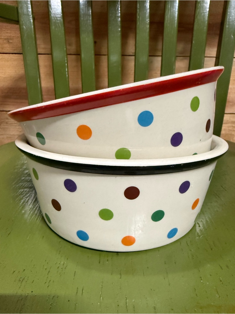 Fido’s Diner Stoneware by Coastline Imports Multi Color Polka Dot Dog Bowl Set